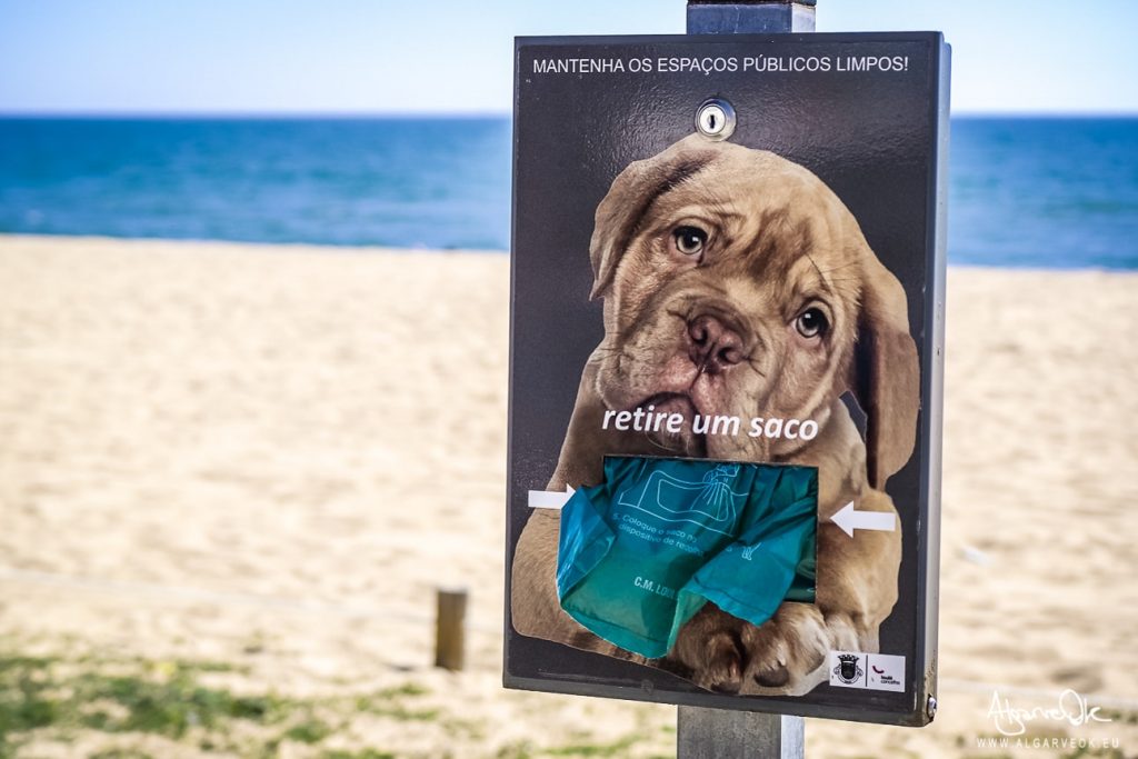 Spiagge per cani in Algarve e Portogallo posso portare il mio cane in spiaggia