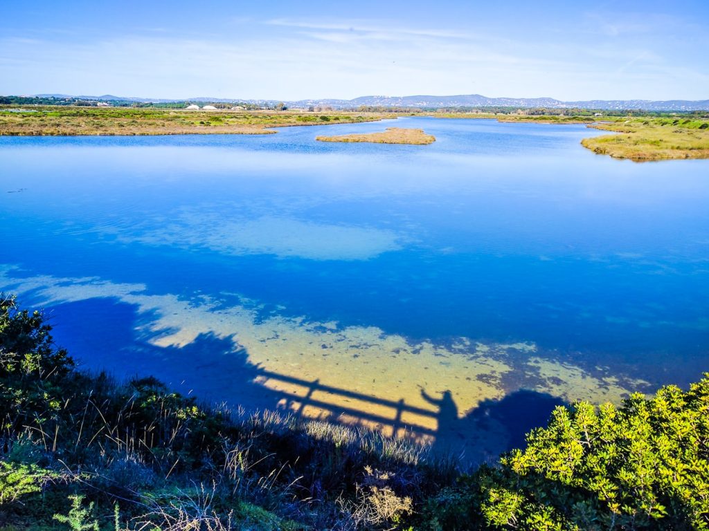 pesca-fly-fishing-in-algarve-8