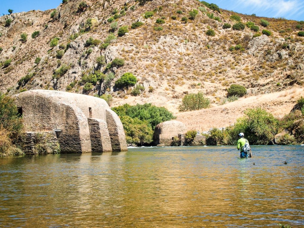 pesca-fly-fishing-in-algarve-9