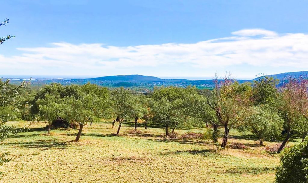 Passeggiata nella natura in Algarve Portogallo, trekking, bicicletta