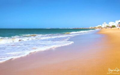 Aquashow Park in Algarve: il parco acquatico più famoso del Portogallo